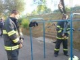 /album/firefighters-challenge-2008-ludgerovice/dsc00487-jpg/